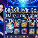  Nổ Hũ iWin Là Gì? Hướng Dẫn Và Trải Nghiệm Chi Tiết Cho Người Mới
